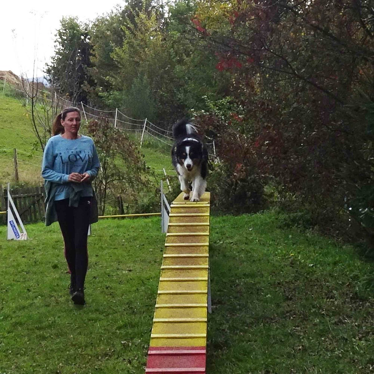 Hund Milo überwindet seine Höhenangst