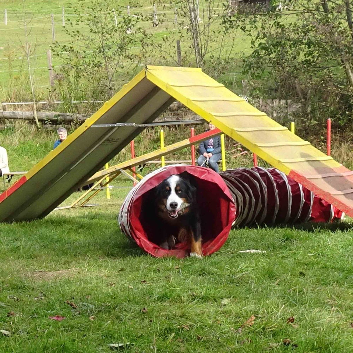 Hund Sam geht durch einen dunklen Gang